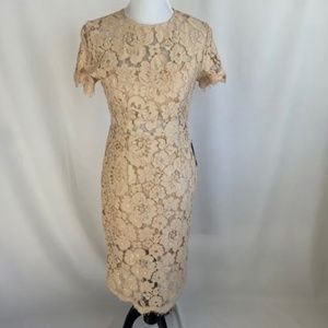 NSR Beige Illusion Waist Lace Sheath Dress Woman’s Size S Cocktail Wedding NWT’S